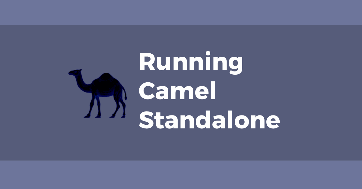 Running Apache Camel standalone | Tom Donohue