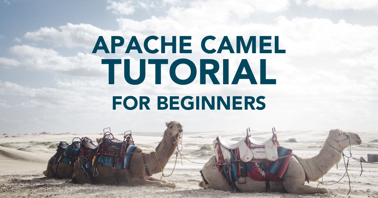 Apache Camel Tutorial Tom Donohue