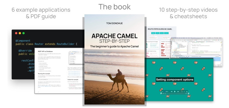 Apache camel with store spring boot tutorial